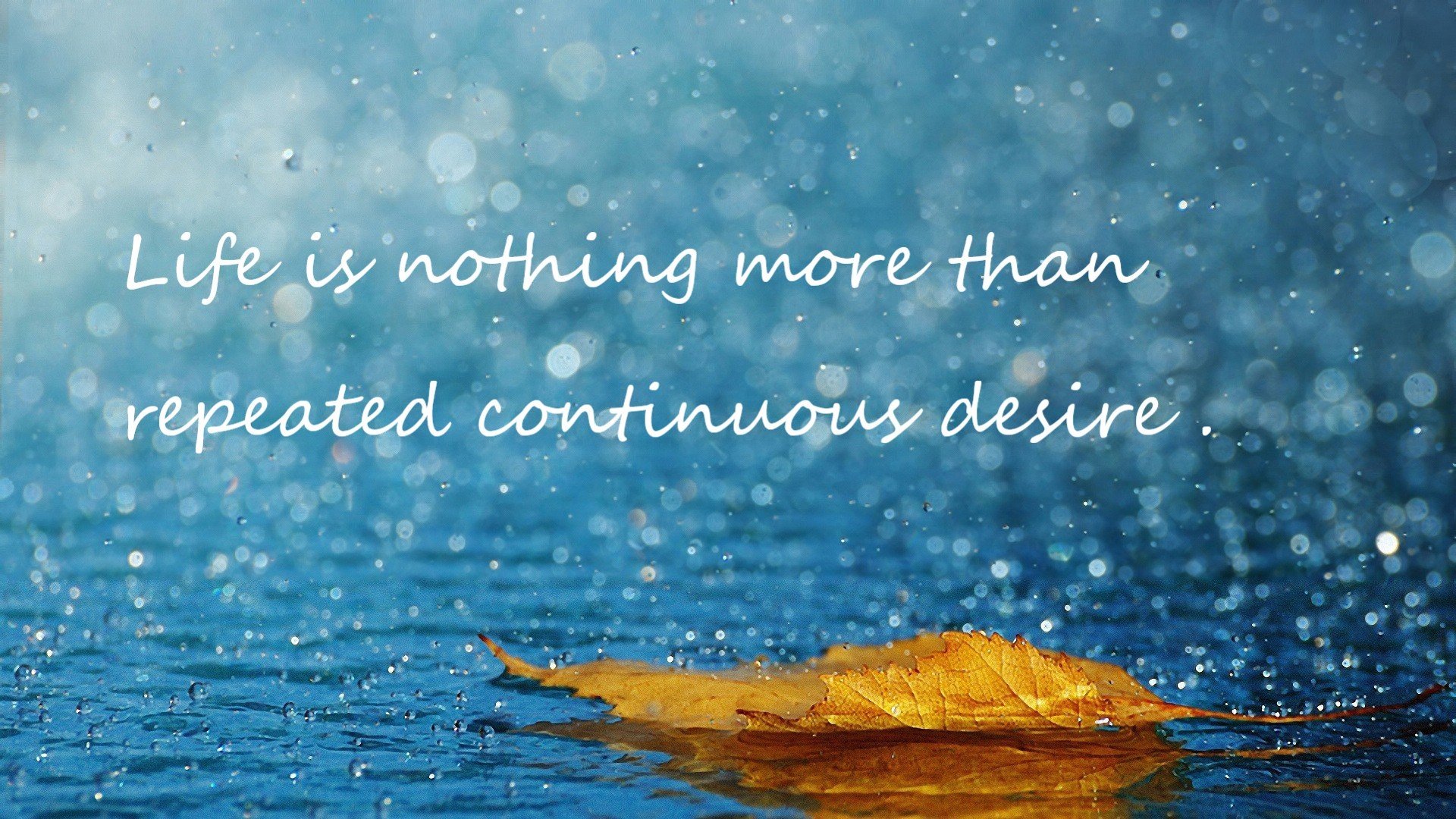 “高新区全民健身馆壁球:这场比赛,分秒必争,胜者全凭瞬间反应”