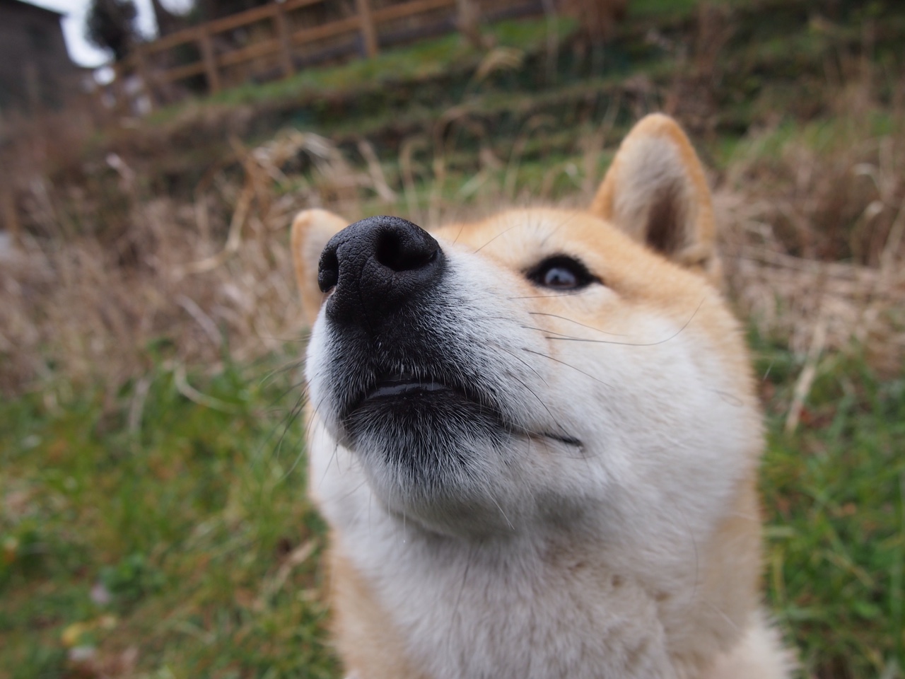 开云官方-青少年体育赛事组织管理，青少年体育比赛项目