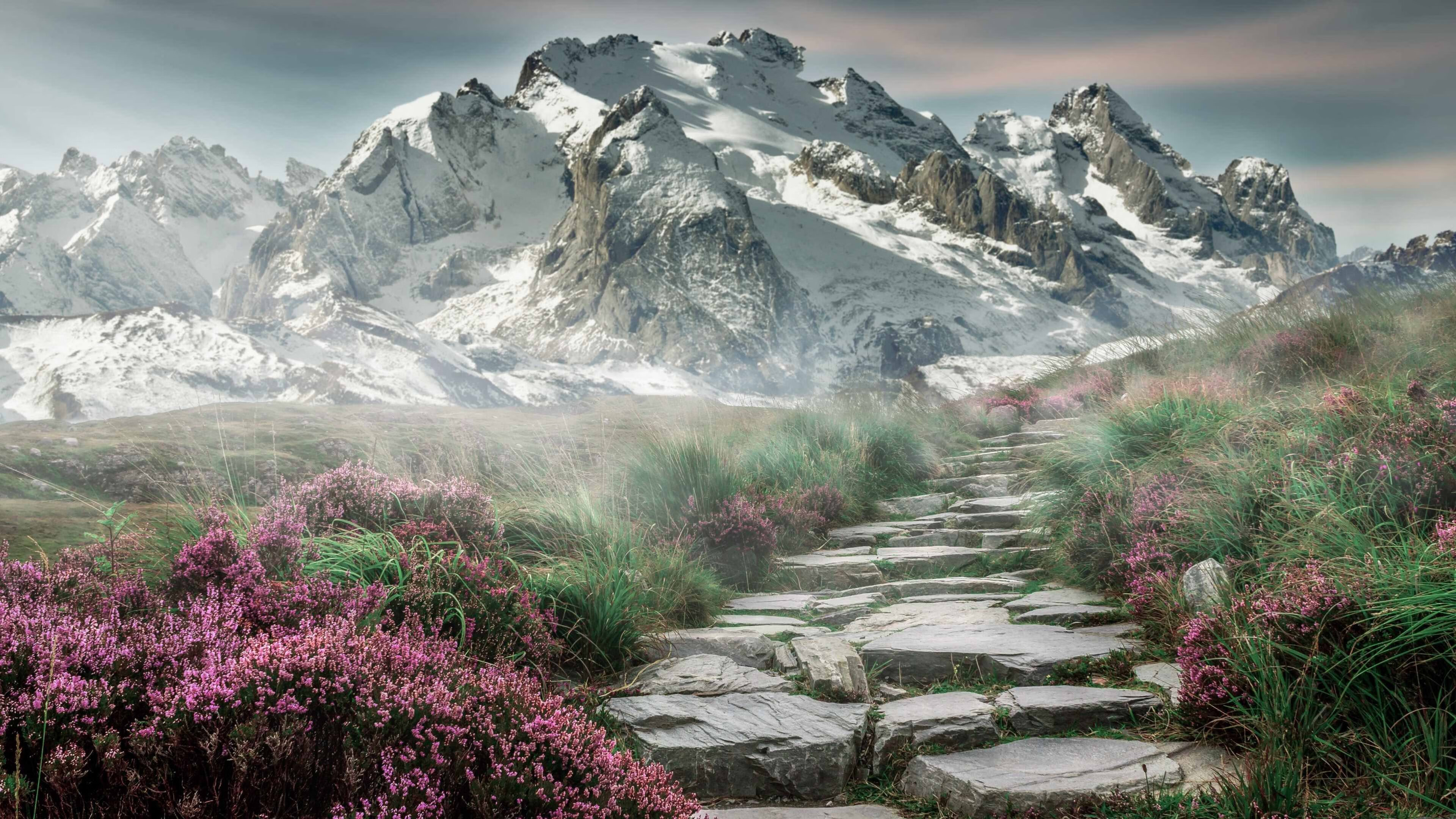 开云电竞账号入口-C罗带领球队晋级淘汰赛表现出色，c罗欧冠淘汰赛进球